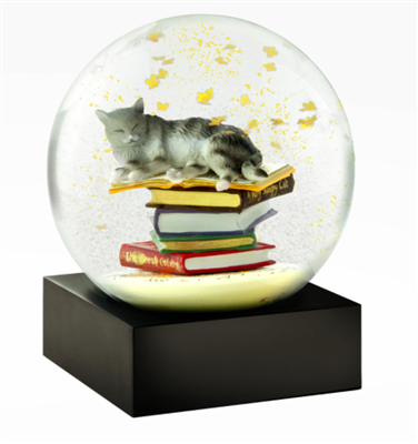 Cat on Books Snowglobe Ciao Bella Petoskey Michigan