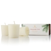 Thymes Frasier Fir Votive Candle Set